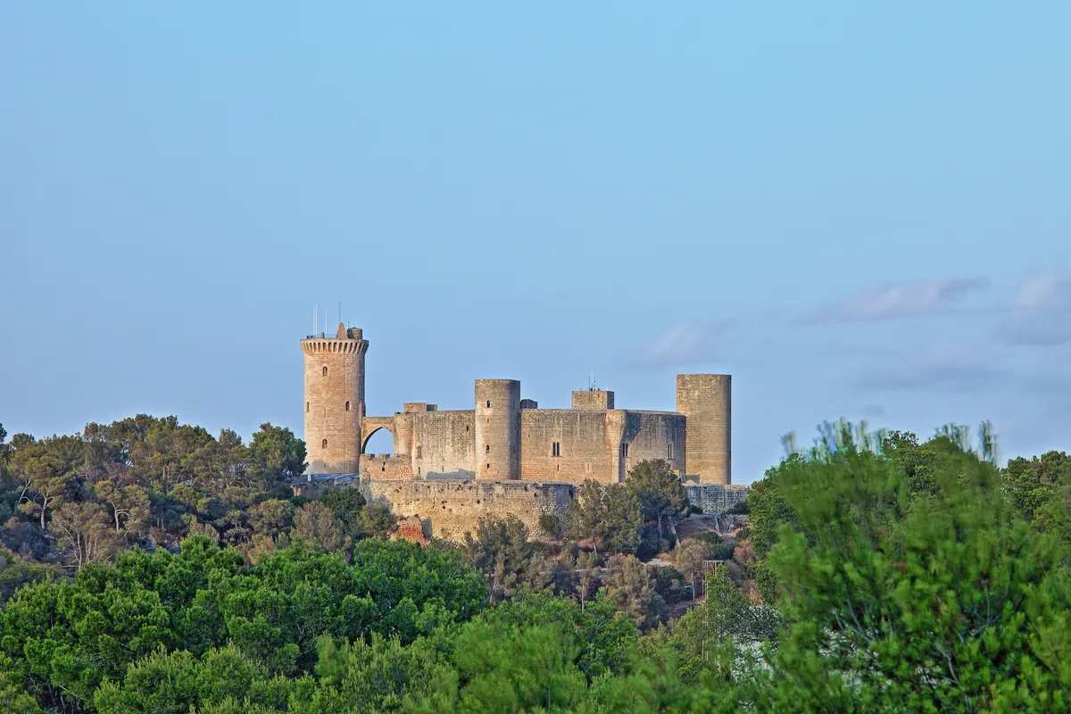 Bellver Castle, a round hilltop castle above Palma, seen over pine trees
