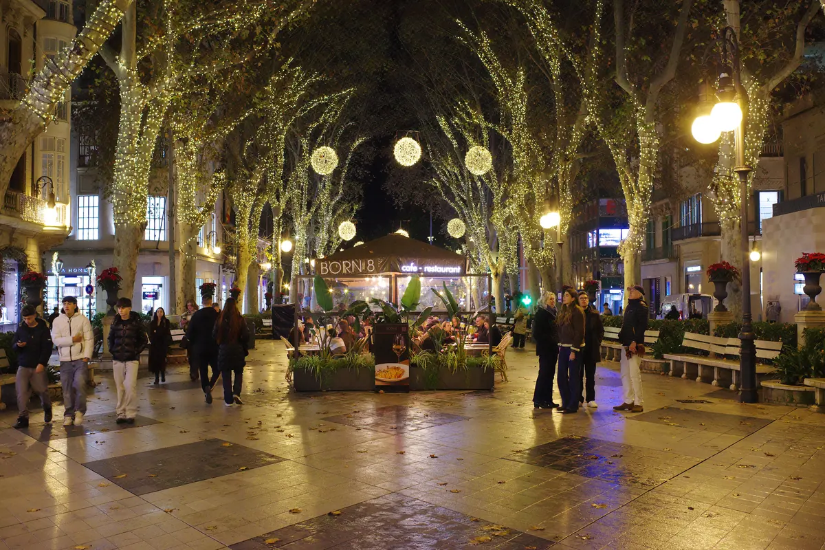 The tree-lined Passeig del Born in Palma at night, hung with lights